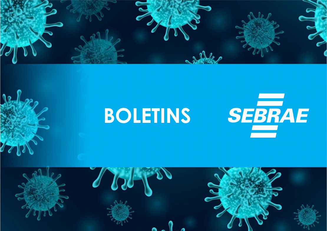 Boletim SEBRAE 032